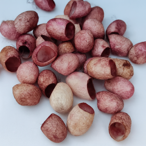 ПАШКУЛИ цвят на бордо ПАШКУЛИ цвят на бордо