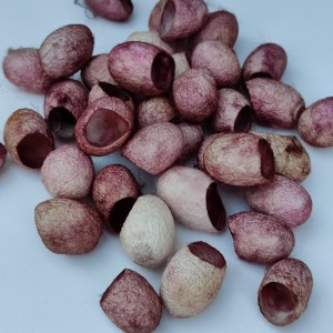 ПАШКУЛИ цвят на бордо