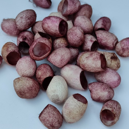 ПАШКУЛИ цвят на бордо