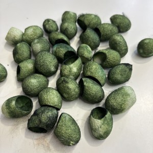 ПАШКУЛИ цвят зелен